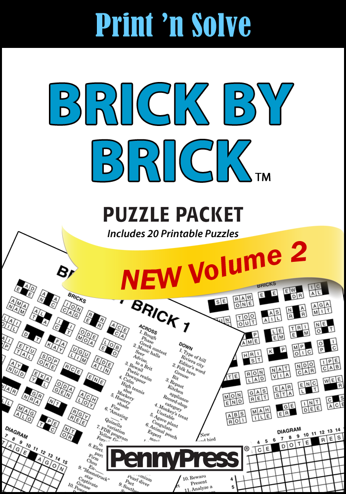 Brick By Brick Puzzle Packet Penny Dell Puzzles